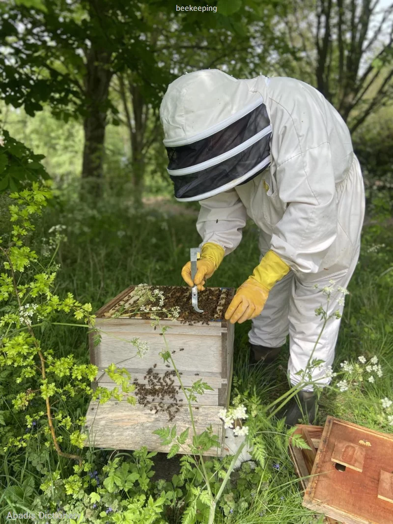 beekeeping