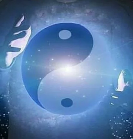 امیل به بدی