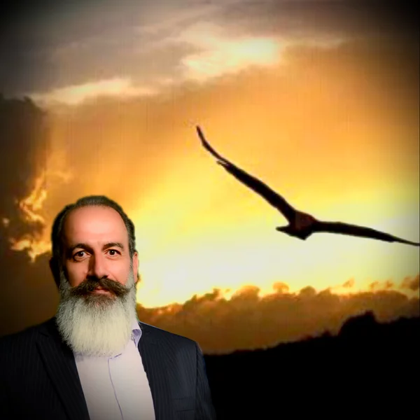 محمدحسین بهاری