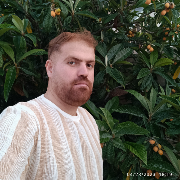 behnam ansari