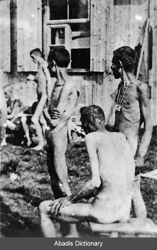عکس اردوگاه های کار اجباری آلمان نازی