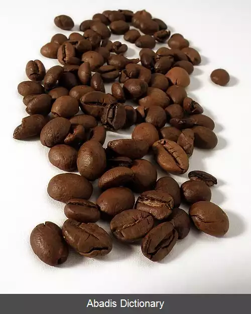 عکس قهوه لیبریکا
