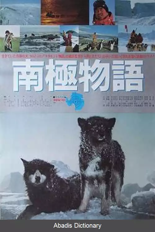 عکس جنوبگان (فیلم ۱۹۸۳)