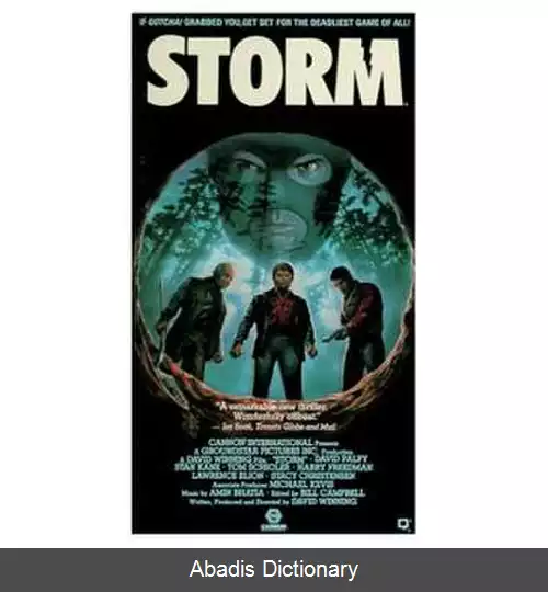 عکس طوفان (فیلم ۱۹۸۷)