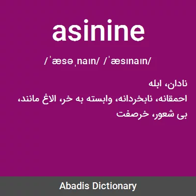 معنی asinine