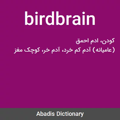 معنی birdbrain