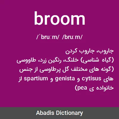 معنی broom