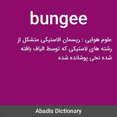 معنی bungee