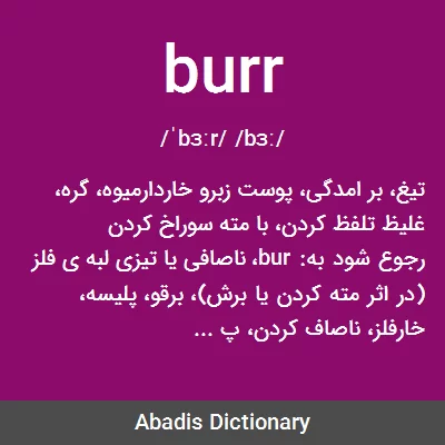 معنی burr