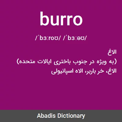 معنی burro
