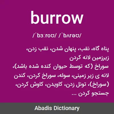 معنی burrow
