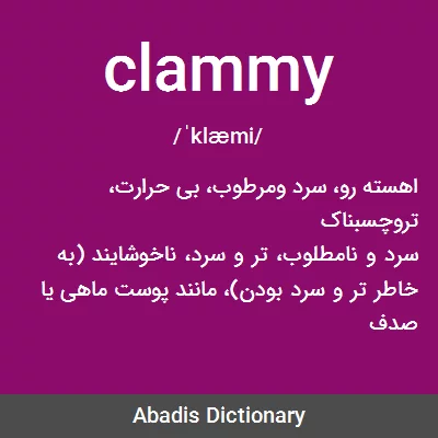 معنی clammy