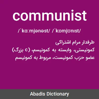 معنی communist