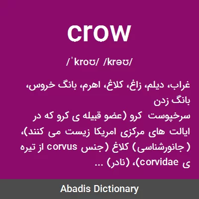 معنی crow