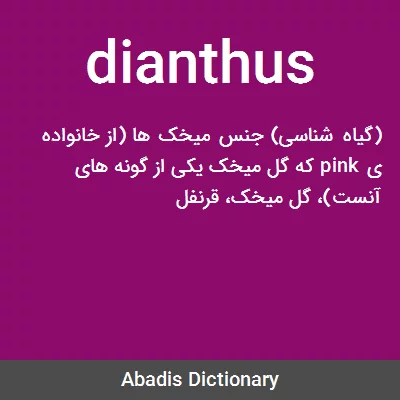 معنی dianthus