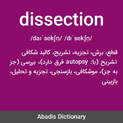 معنی dissection