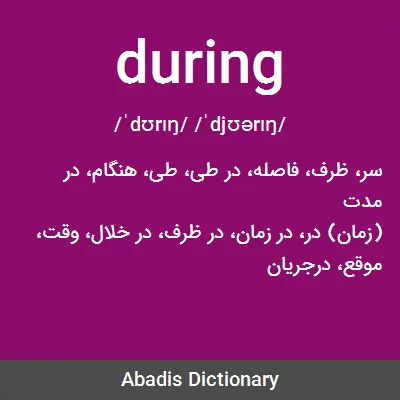 معنی during