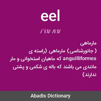 معنی eel