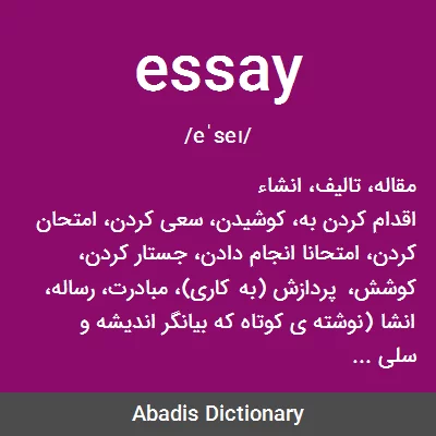 معنی essay