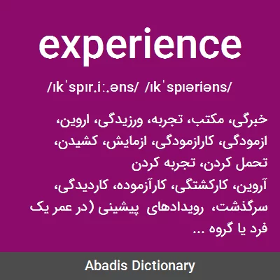 معنی experience