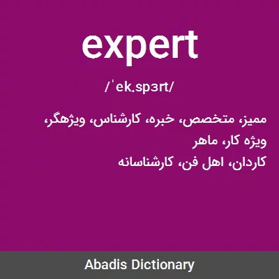 معنی expert
