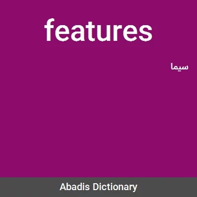 معنی features