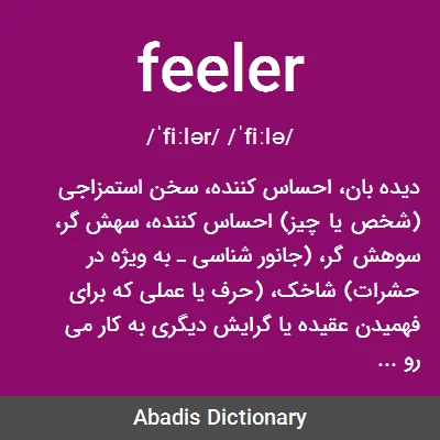معنی feeler