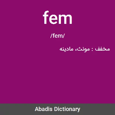 معنی fem