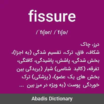 معنی fissure