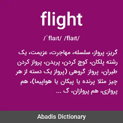 معنی flight