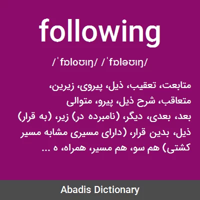 معنی following