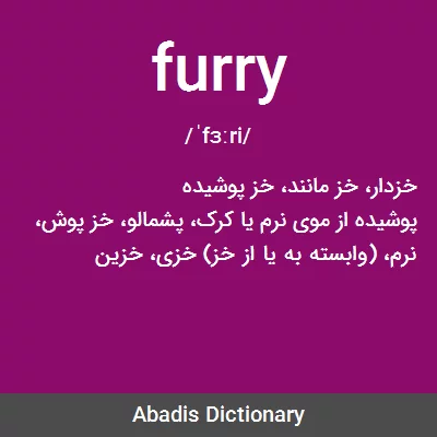 معنی furry