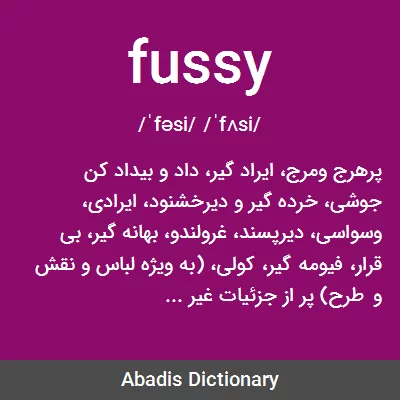 معنی fussy