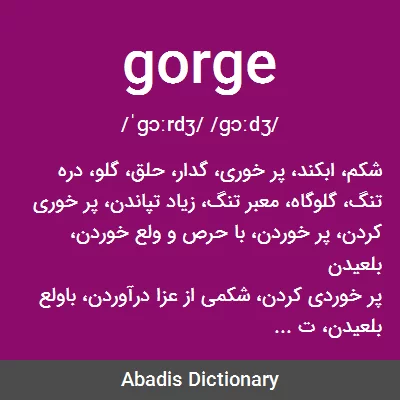 معنی gorge