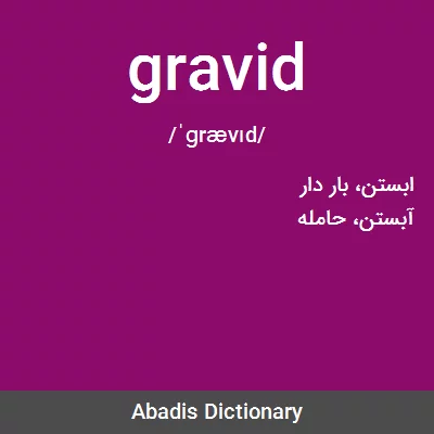 معنی gravid