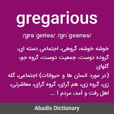 معنی gregarious