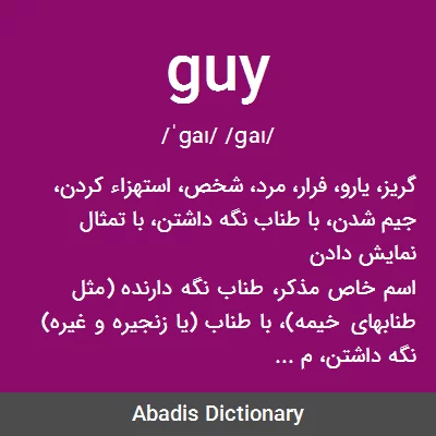 معنی guy