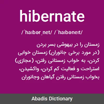 معنی hibernate