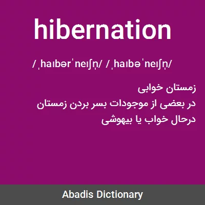 معنی hibernation