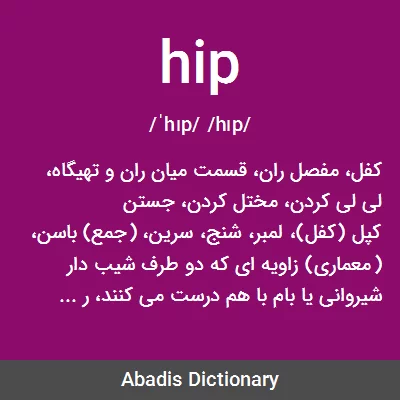 معنی hip