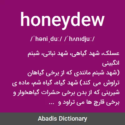معنی honeydew