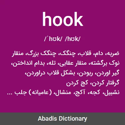 معنی hook
