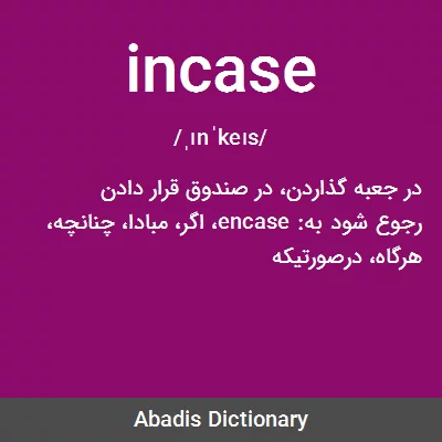 معنی incase