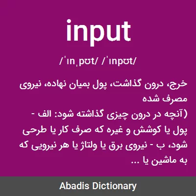 معنی input