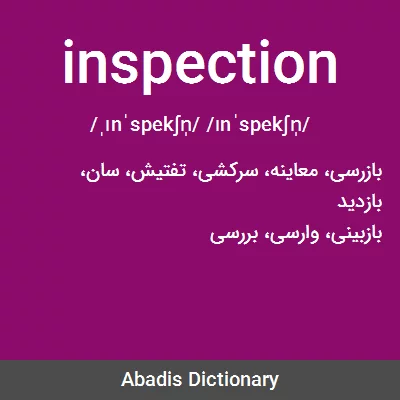 معنی inspection