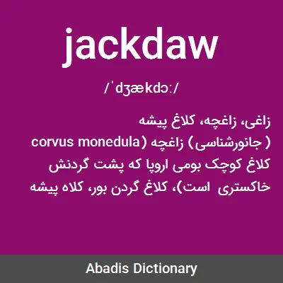 معنی jackdaw