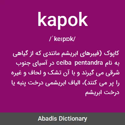 معنی kapok