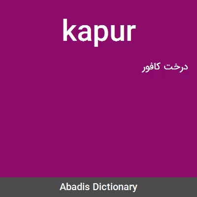 معنی kapur