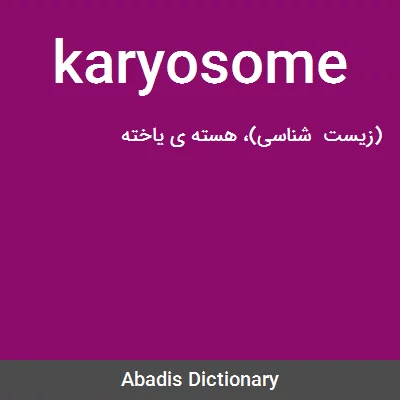 معنی karyosome