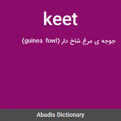 معنی keet